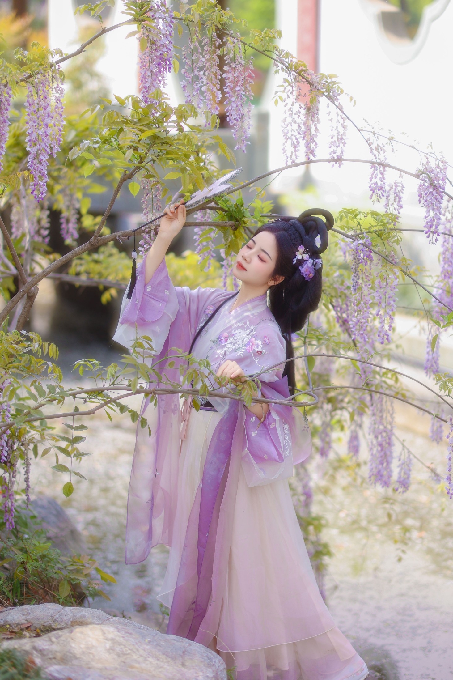 小杜同学 – 《紫藤》[40P]